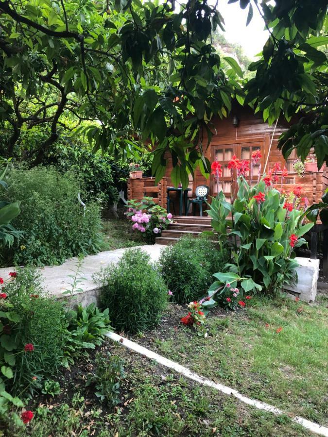 New Athos Cottage house المظهر الخارجي الصورة